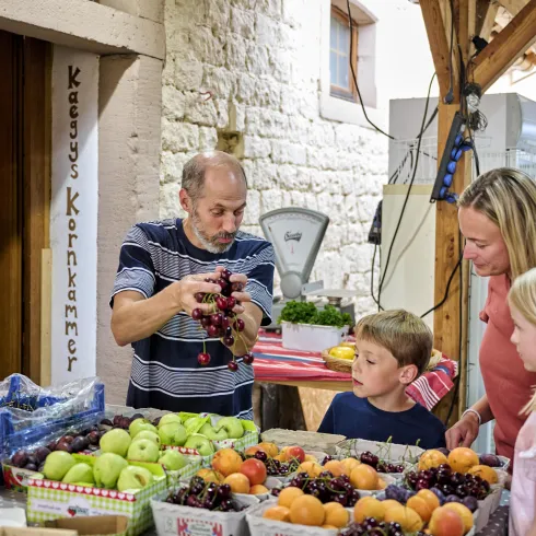 Obsteinkauf KAEGYs Kornkammer (© Donnersberg-Touristik-Verband e.V., Florian Trykowski)