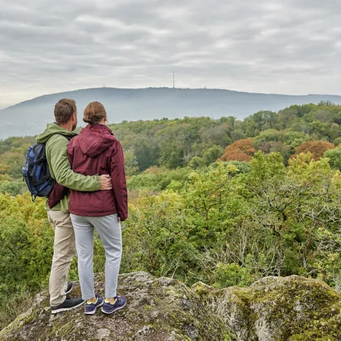 Drosselfels Aussicht