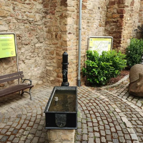 IMG_20250715_082929853