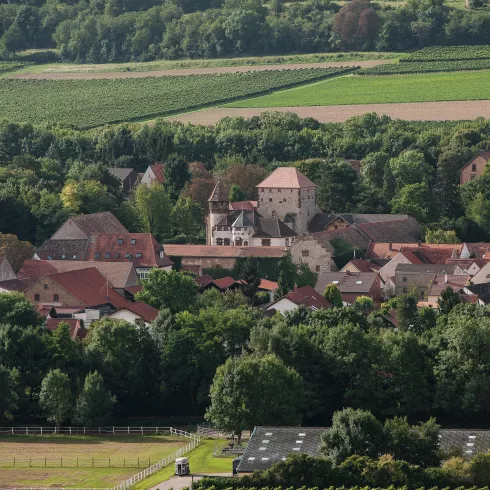 Blick auf Wachenheim im Zellertal (© VG Monsheim Fotograf Carsten Costard)