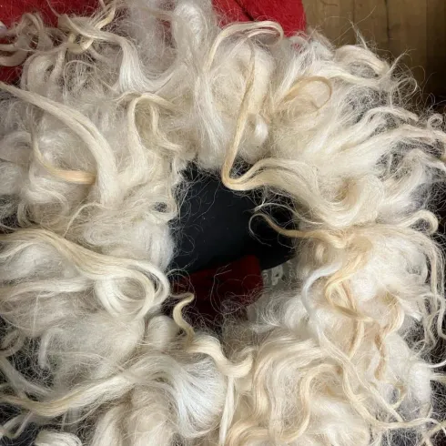 Ein runder Kranz aus lockigem, weißem Haar. Die Struktur ist weich und voluminös.