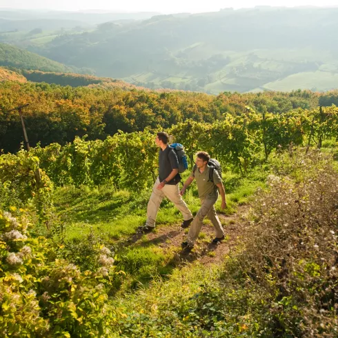 Wandern im Donnersberger Land