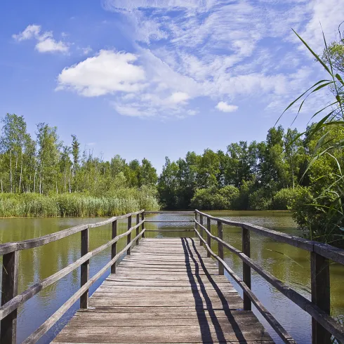 Geotope im Donnersberger Land