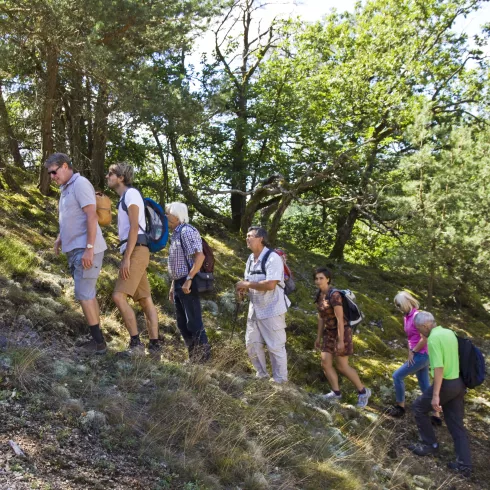 Geführte Wanderungen 