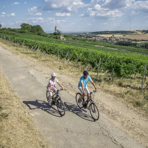 Radfahren im Zellertal