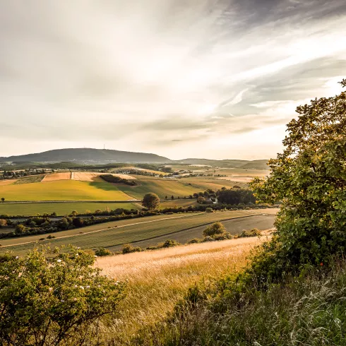 Blick zum Donnersberg