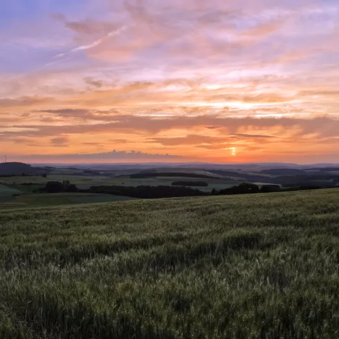 Sonnenuntergang in Katzenbach (© Thorben Kraus) Sonnenuntergang in Katzenbach