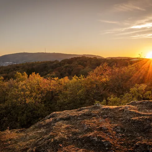 Sonnenuntergang am Drosselfels, Kirchheimbolanden (© Marc Linn) Sonnenuntergang am Drosselfels, Kirchheimbolanden