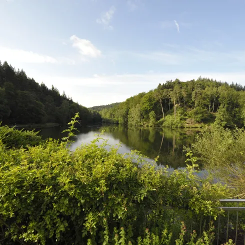 Blick auf den Eiswoog