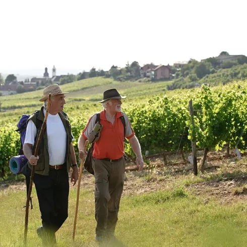 Pilgerer auf dem Jakobspilgerweg