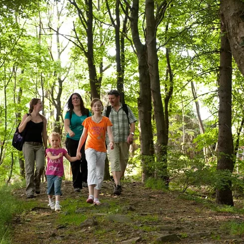 Wandergruppe auf dem Donnersberg