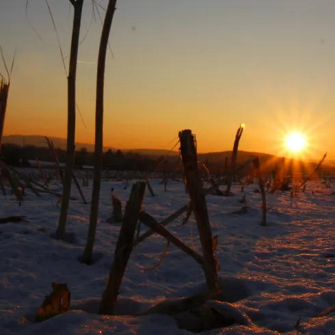 Winterwandern