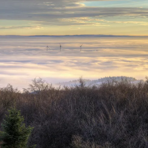 Winter im Donnersberger Land