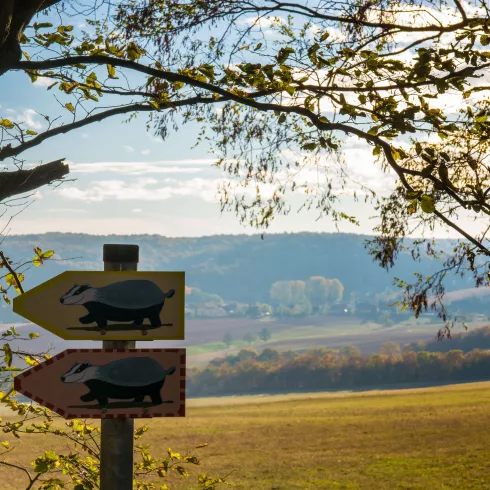 Aussicht vom Dachsi-Wanderweg