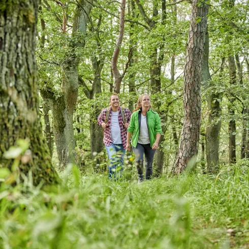 Wandern am Donnersberg