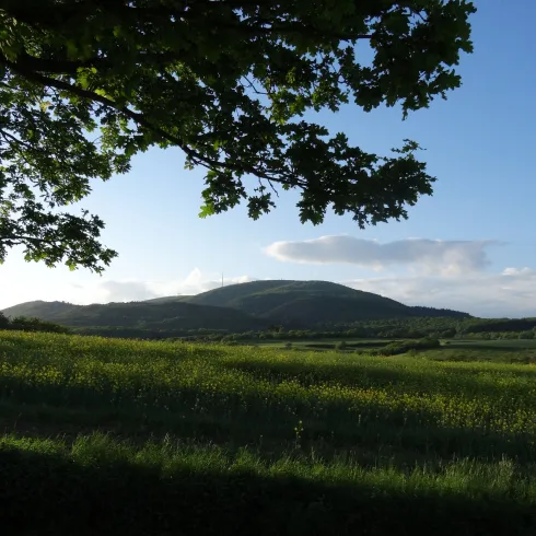 Blick zum Donnersberg
