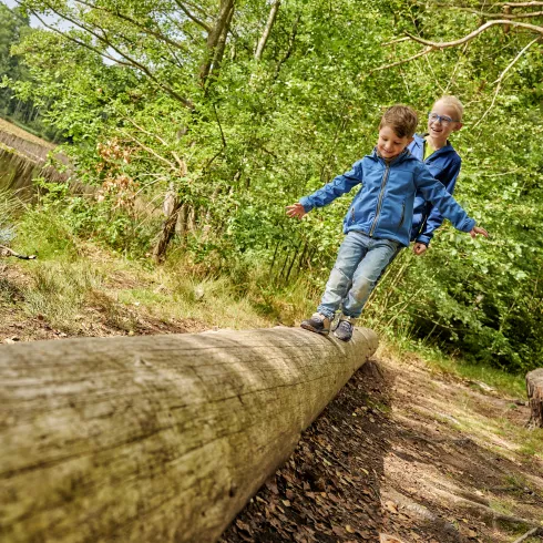 Spielen am Retzbergweiher