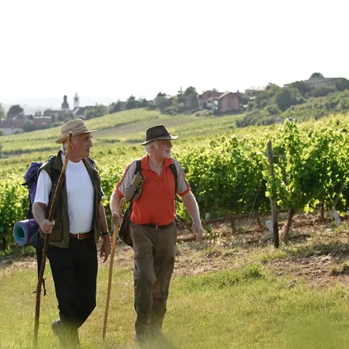 Wandern auf dem Zellertalweg