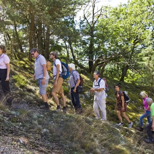 „Auf den Spuren des Bergbaus rund um den Stahlberg“ 
