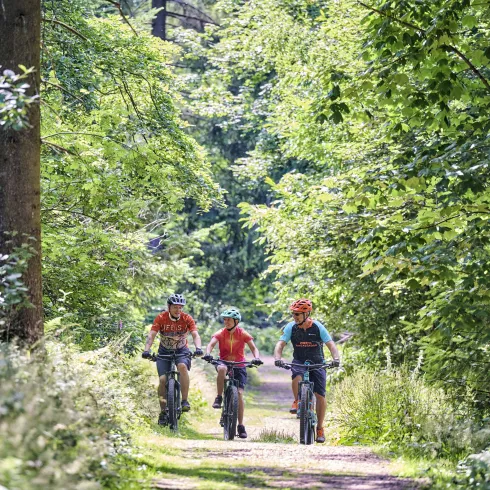 MTB im Donnersberger Land