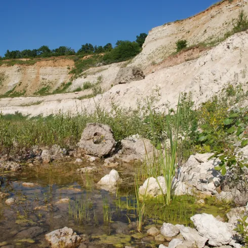 Naturerlebnis auf dem Geopfad Dachsberg 