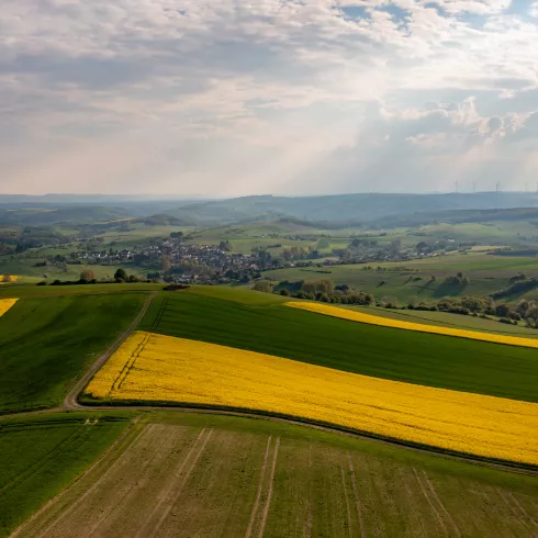 Hügellandschaft "Alte Welt"