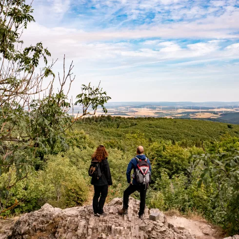 Pfälzer Höhenweg - Aussicht vom Königsstuhl