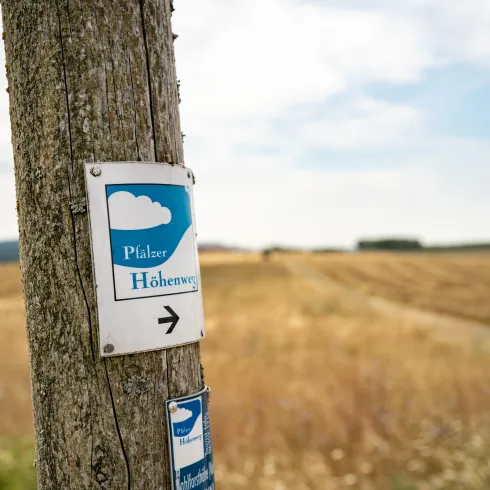 Markierung Pfälzer Höhenweg