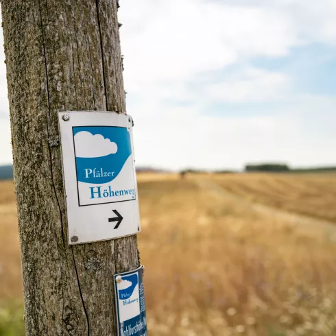 Markierung Pfälzer Höhenweg