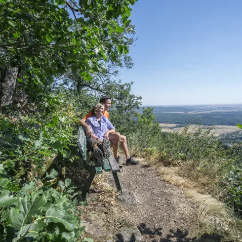 Wandern, Donnersberg, Bank, Sommer, Aussicht