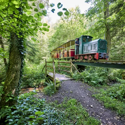 Stumpfwaldbahn, Wald, Eiswoog