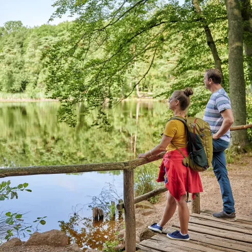Wanderung im Donnersberger Land