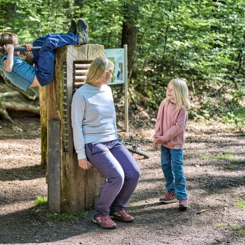 Dachsi-Familienwanderweg
