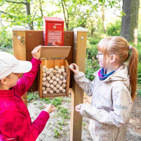 Start Murmelbahn